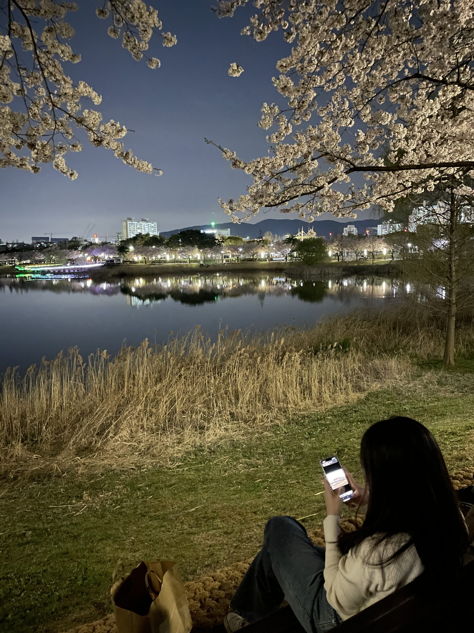 만석공원 포토존 — 저수지를 바라보는 벚꽃 아래 벤치